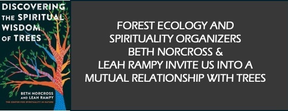 Waterspirit's Book Club for August 31, 2026: Discovering the Spiritual Wisdom of Trees